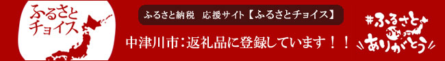 ふるさと納税【信玄堂】