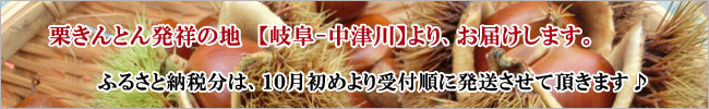 ふるさと納税【信玄堂】