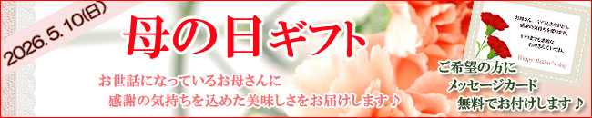 通年詰合せ【信玄堂】