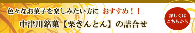 中津川 栗きんとん詰合せ【信玄堂】